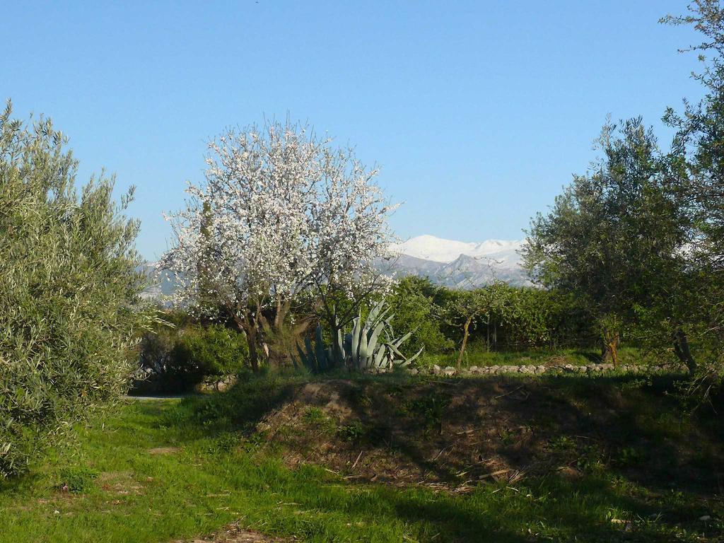 Cortijo Algabia Vendégház Alhendín Kültér fotó