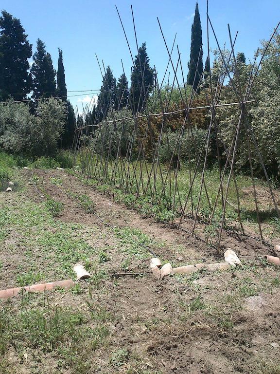 Cortijo Algabia Vendégház Alhendín Kültér fotó