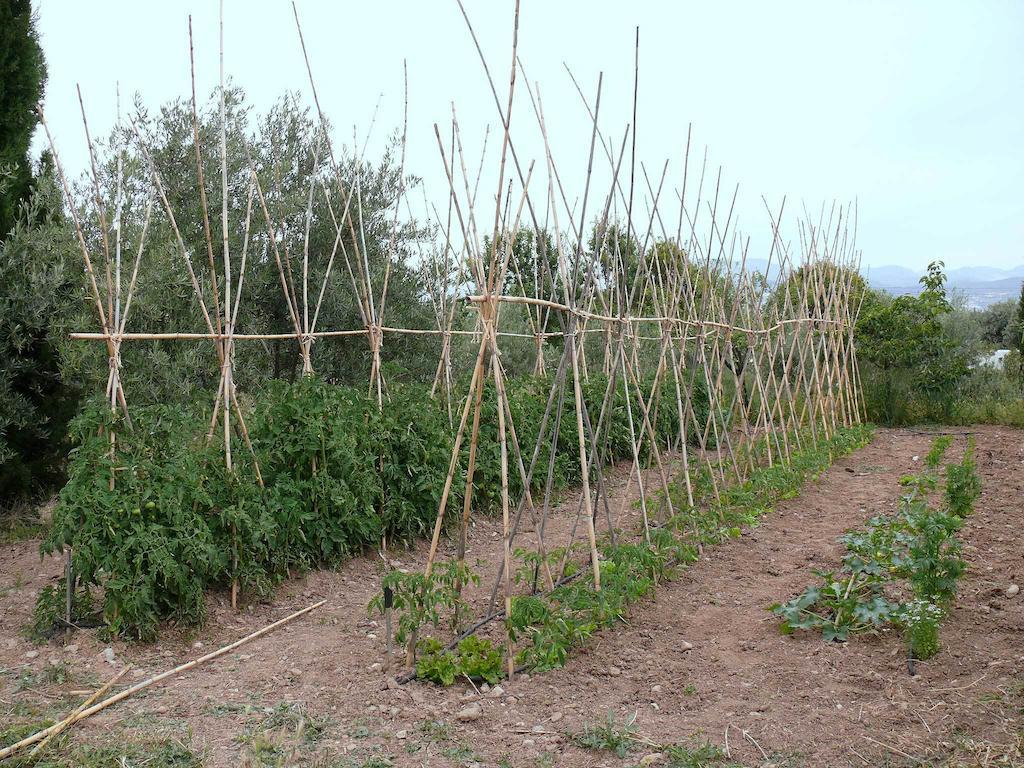 Cortijo Algabia Vendégház Alhendín Kültér fotó